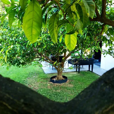 House Of Silence * Τρογκίρ