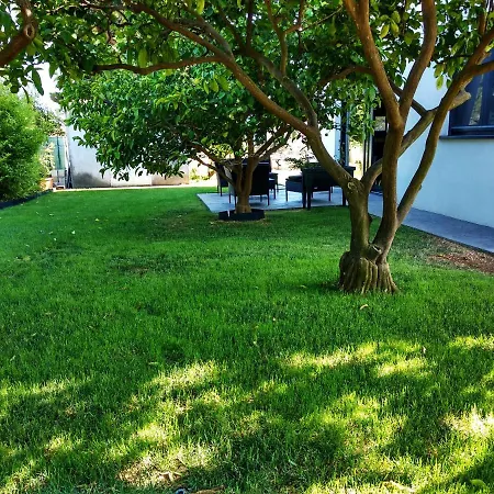 House Of Silence טרוגיר