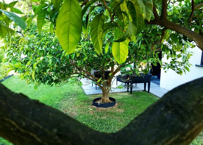 House Of Silence * Trogir